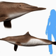 Illustration for article titled Why you should fund a paleontology project